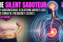 The Somatic Weight Loss Secret of 2026: How 528Hz and 1111Hz Frequencies Rewrite Your Metabolic Code